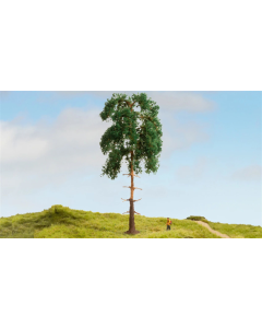 H0 Dennenboom Noch 20141