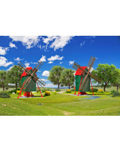 N Molen, 2 stuks Kibri 37156