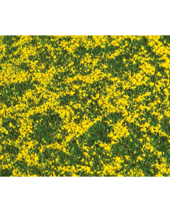 PREMIUM Landschaps-segment, Koolzaadveld Faller 180463