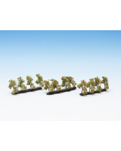 N Appelbomen 2 cm hoog 24 stuks Noch 21537
