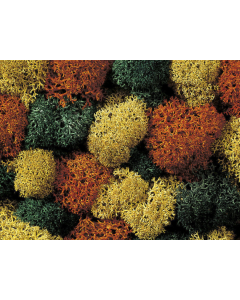 IJslands mos herfstmix 35 g Noch 08630