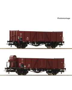 H0 2-delige set goederenwagens DB Roco 76289
