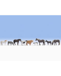 N Boerderijdieren Noch 36713