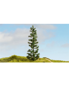 H0 Sparrenboom Noch 20192