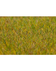 PREMIUM strooimateriaal Weide Lichtgroen 6 mm, 30 gram Faller 180484