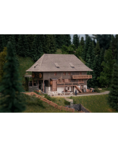 N Jubileummodel Öhlermühle met Faller 232012