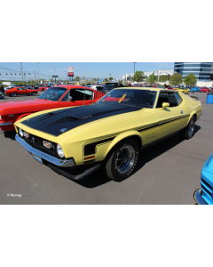 1/25 Model Set '71 Mustang Boss 351 Revell 67699