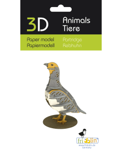 3D-model, patrijs, lasergesneden speciaal bewerkt karton Fridolin 11762