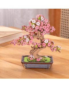 Rolife TG415 DIY Sakura Bonsai Robotime TG415