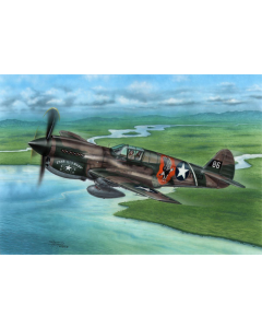 1/72 P-40E Warhawk Claws and Teeth Special Hobby 72338