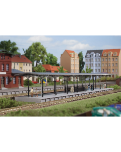 N Perron / Bahnsteig Auhagen 14481