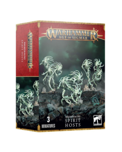 Warhammer Age of Sigmar nighthaunt | Spirit Hosts Warhammer 9308
