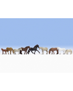 N Paarden Noch 36761