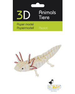 3D-model, axolotl, lasergesneden speciaal bewerkt karton Fridolin 11755