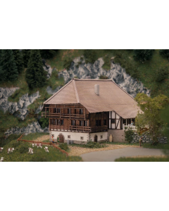 Z Jubileummodel Schwarzwaldhof Faller 282784