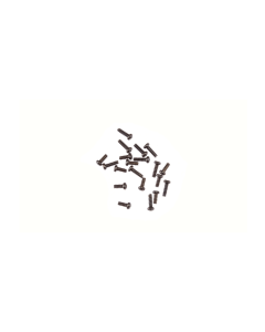 (DIG)132 Set Schroeven (klein en middel), 10 stuks Carrera 89108