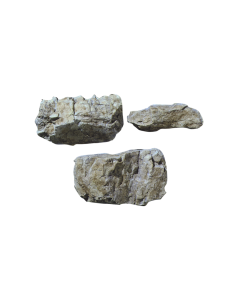 C1234 Rotsmal "Random Rock" Woodland C1234