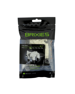 IJsbeer Brixies 200111