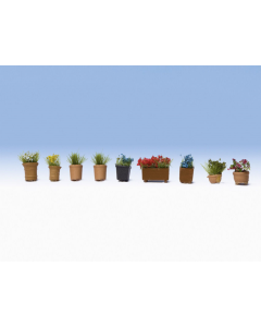 N Bloemen in potten 9 stuks Noch 14084