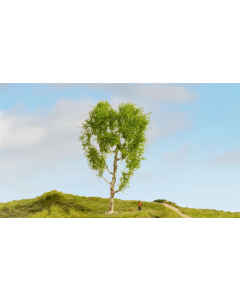 H0 Donzige berk Noch 20125