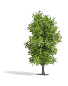 H0 Loofboom 115 mm, voorjaar Busch 3721
