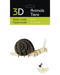 3D-model, slak, lasergesneden speciaal bewerkt karton Fridolin 11722