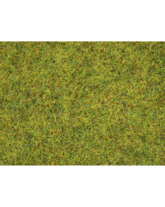 Strooigras "Zomerweide" 2,5 mm 100 g Noch 50190
