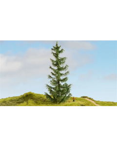 H0 Sparrenboom Noch 20191