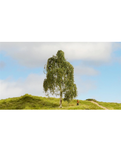 H0 Zilverberkenboom Noch 20120