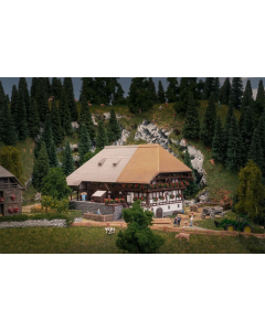 N Jubileummodel Schwarzwaldhof Faller 232010