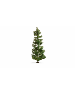 H0 Sparrenboom Noch 20190