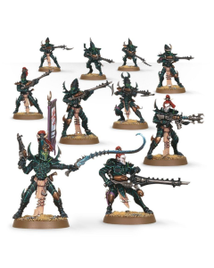 Warhammer 40.000 Drukhari | Kabalite Warriors Warhammer 4507