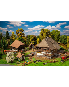 H0 Zwarte woud Set Vogtsbauernhof Faller 130677