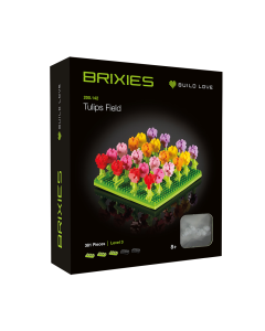 Tulpenveld Brixies 200142