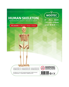 Human Skeleton (menselijk skelet) 3D puzzel Wootec BE601