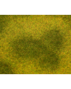 PREMIUM Landschaps-segment Weide 6mm, licht  210 x 148 x 6 mm Faller 180488