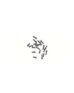 (DIG)132 Set Schroeven (klein en middel), 10 stuks Carrera 89108