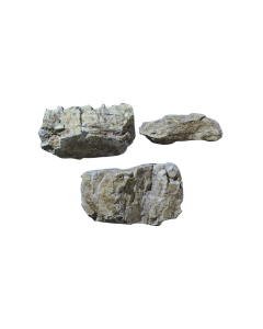 C1234 Rotsmal "Random Rock" Woodland C1234