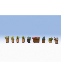 N Bloemen in potten 9 stuks Noch 14084