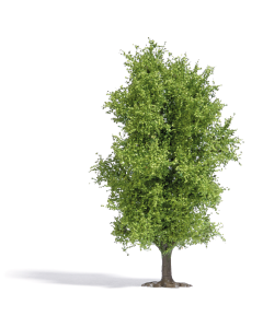 H0 Loofboom 115 mm, voorjaar Busch 3721