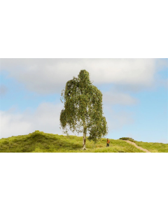 H0 Zilverberkenboom Noch 20120